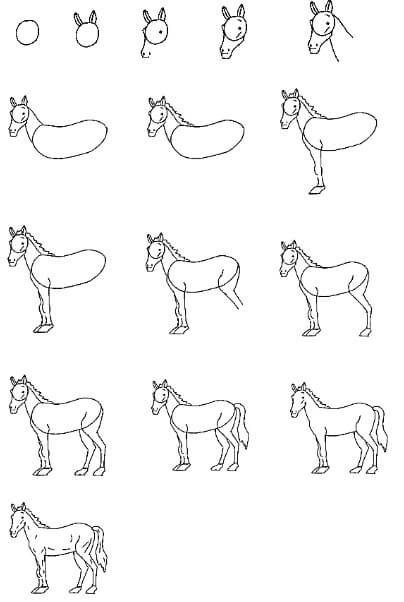 Zeichnen Lernen Pferdeidee (18)