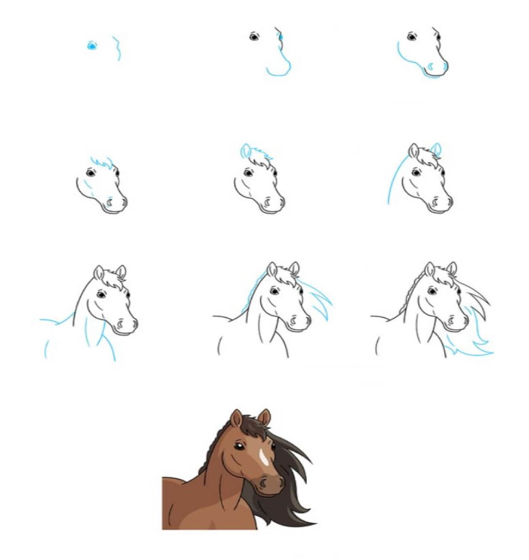Zeichnen Lernen Pferdeidee (2)