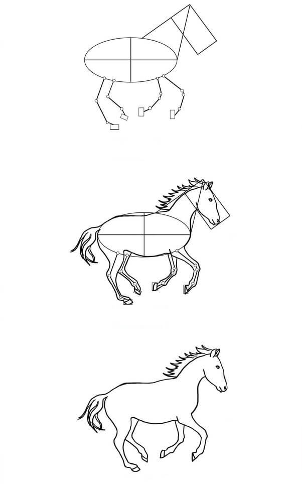 Zeichnen Lernen Pferdeidee (4)