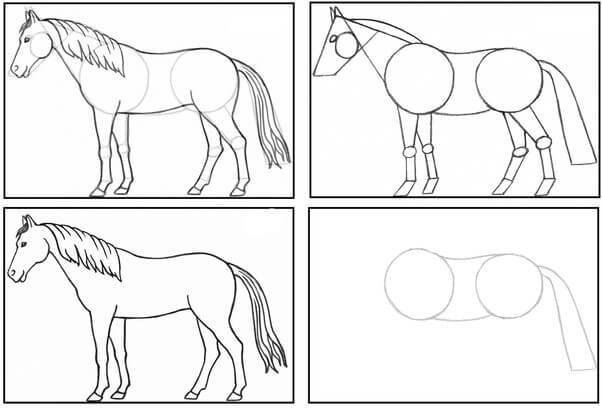 Zeichnen Lernen Pferdeidee (5)