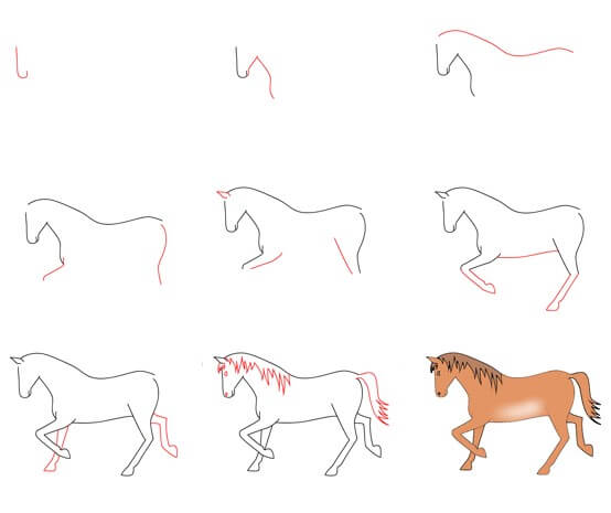 Zeichnen Lernen Pferdeidee (9)