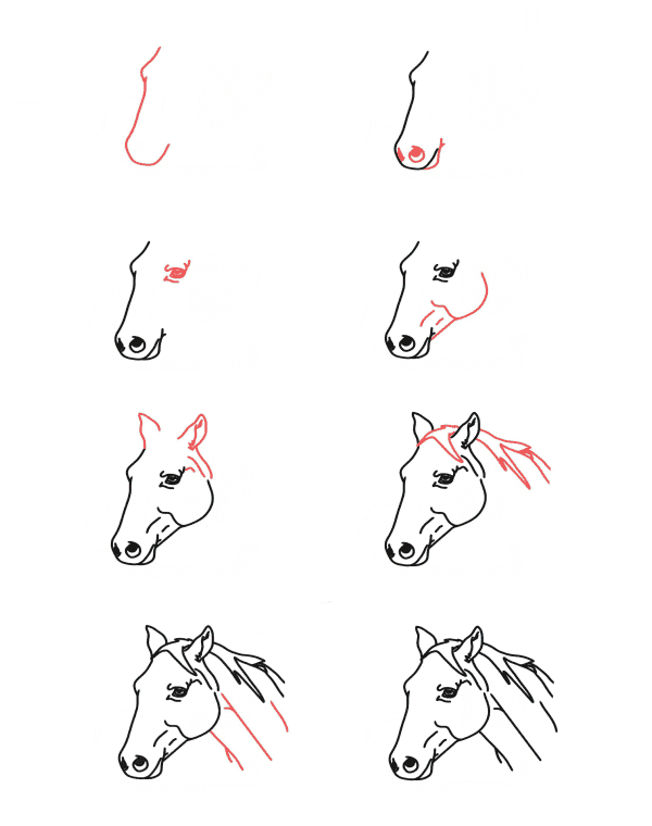 Pferdekopf zeichnen ideen