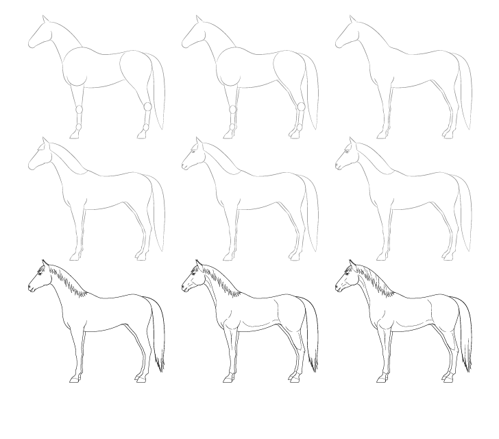Pferdezeichnung zeichnen ideen