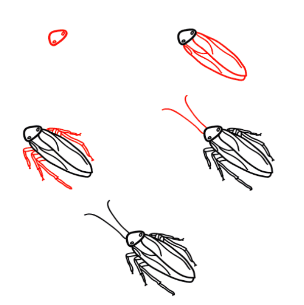 Realistische Kakerlake zeichnen ideen