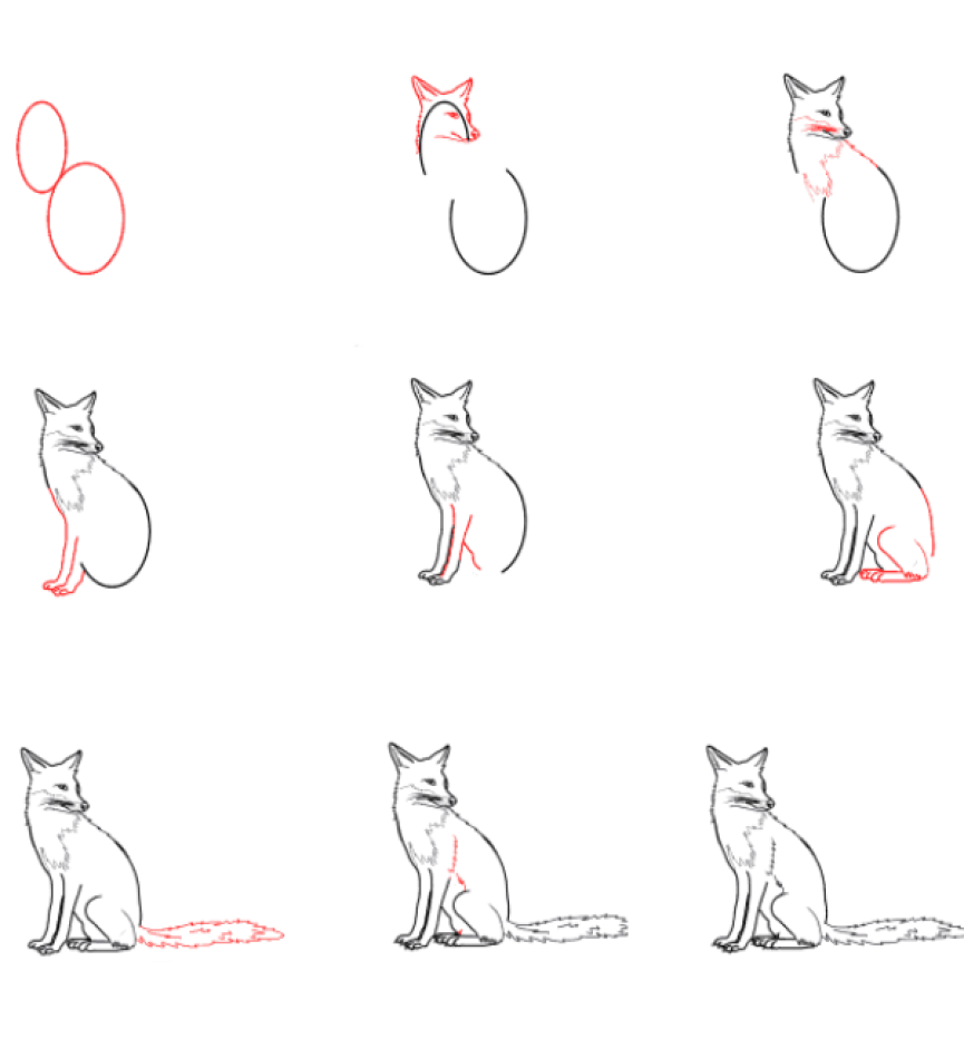 Zeichnen Lernen Realistischer Fuchs