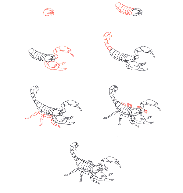 Realistischer Skorpion zeichnen ideen