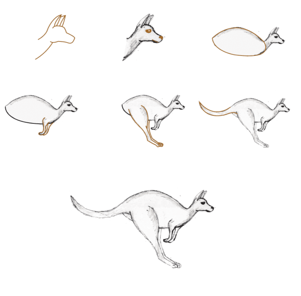 Realistisches Känguru (4) zeichnen ideen