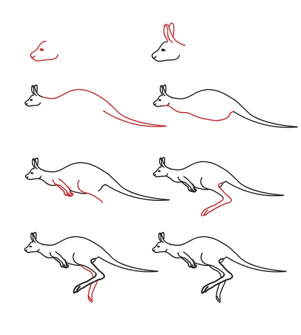 Realistisches Känguru (5) zeichnen ideen