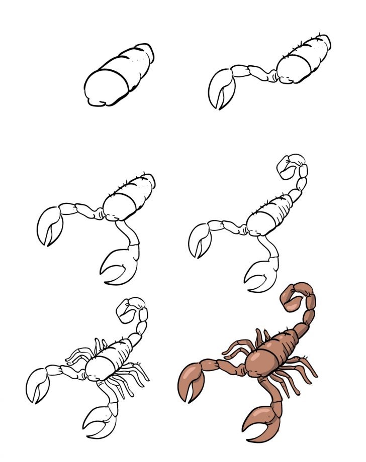 Skorpioni-Idee (1) zeichnen ideen