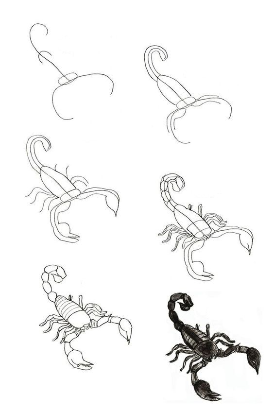 Skorpioni-Idee (11) zeichnen ideen