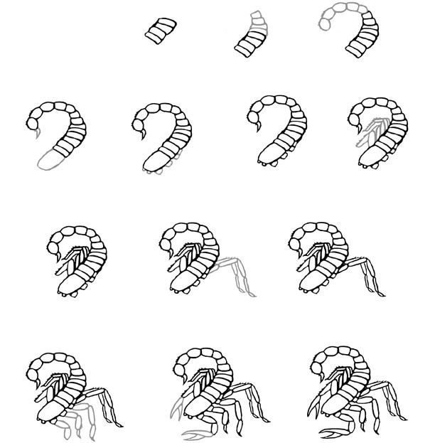 Skorpioni-Idee (12) zeichnen ideen