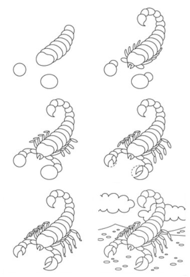 Skorpioni-Idee (13) zeichnen ideen