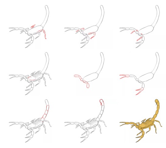 Skorpioni-Idee (17) zeichnen ideen