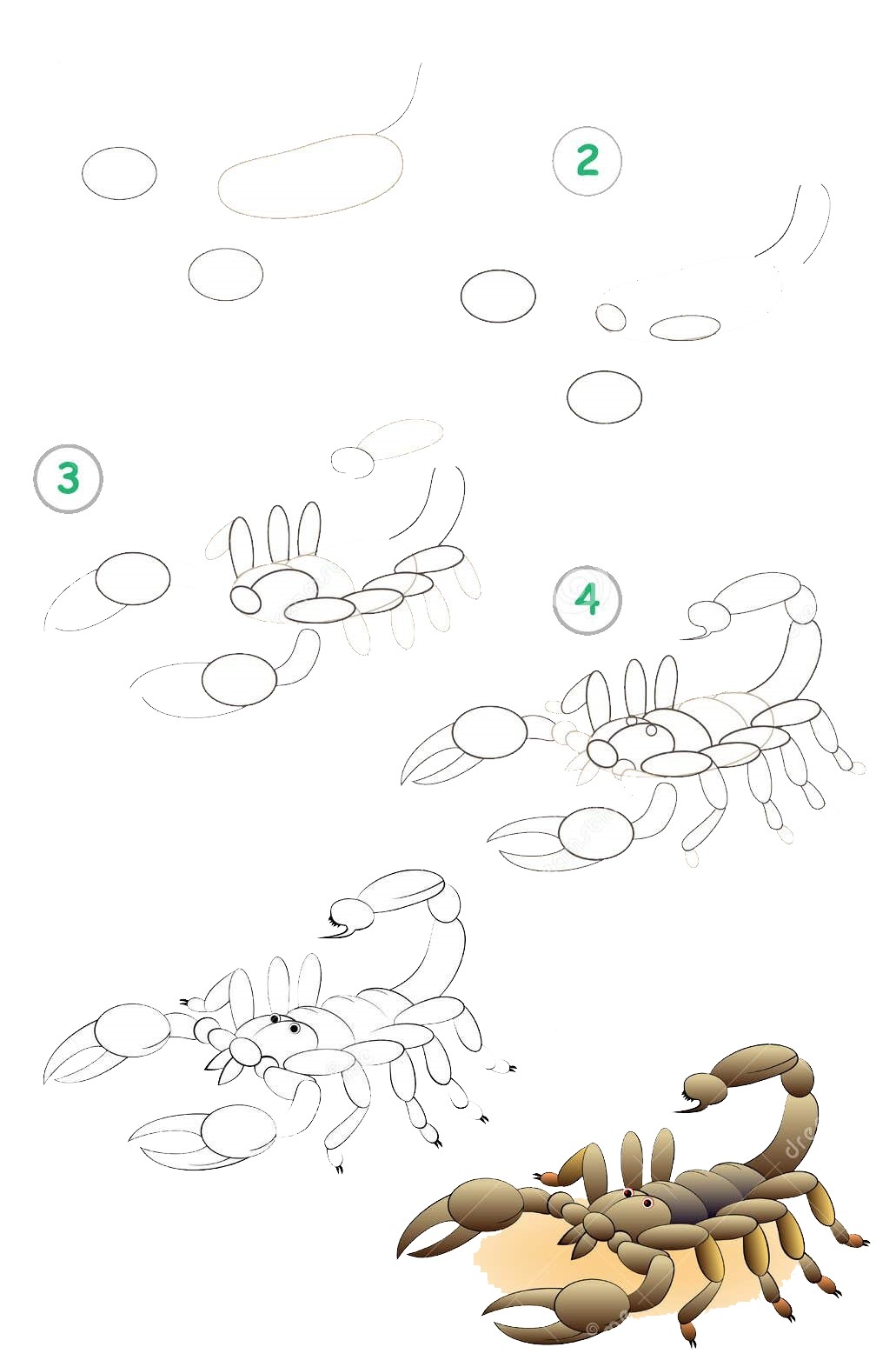Skorpioni-Idee (19) zeichnen ideen