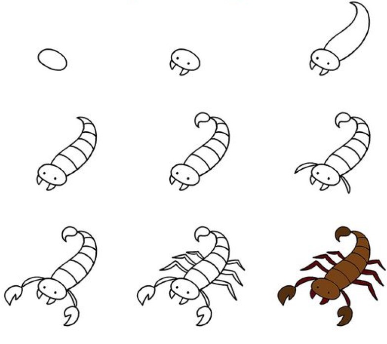 Skorpioni-Idee (2) zeichnen ideen