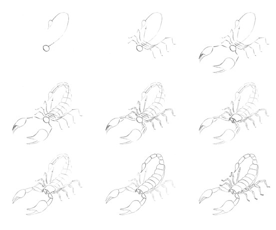 Skorpioni-Idee (4) zeichnen ideen