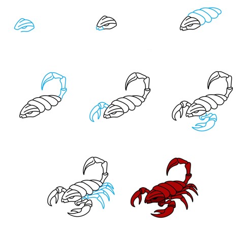 Skorpioni-Idee (5) zeichnen ideen