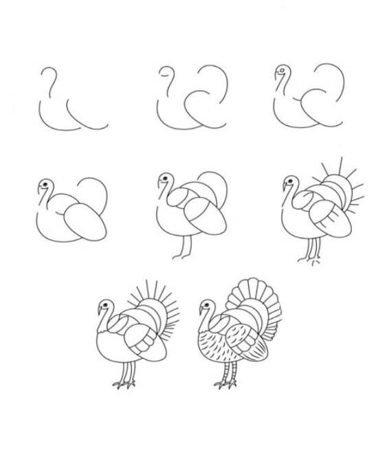 Zeichnen Lernen Türkei-Idee (3)