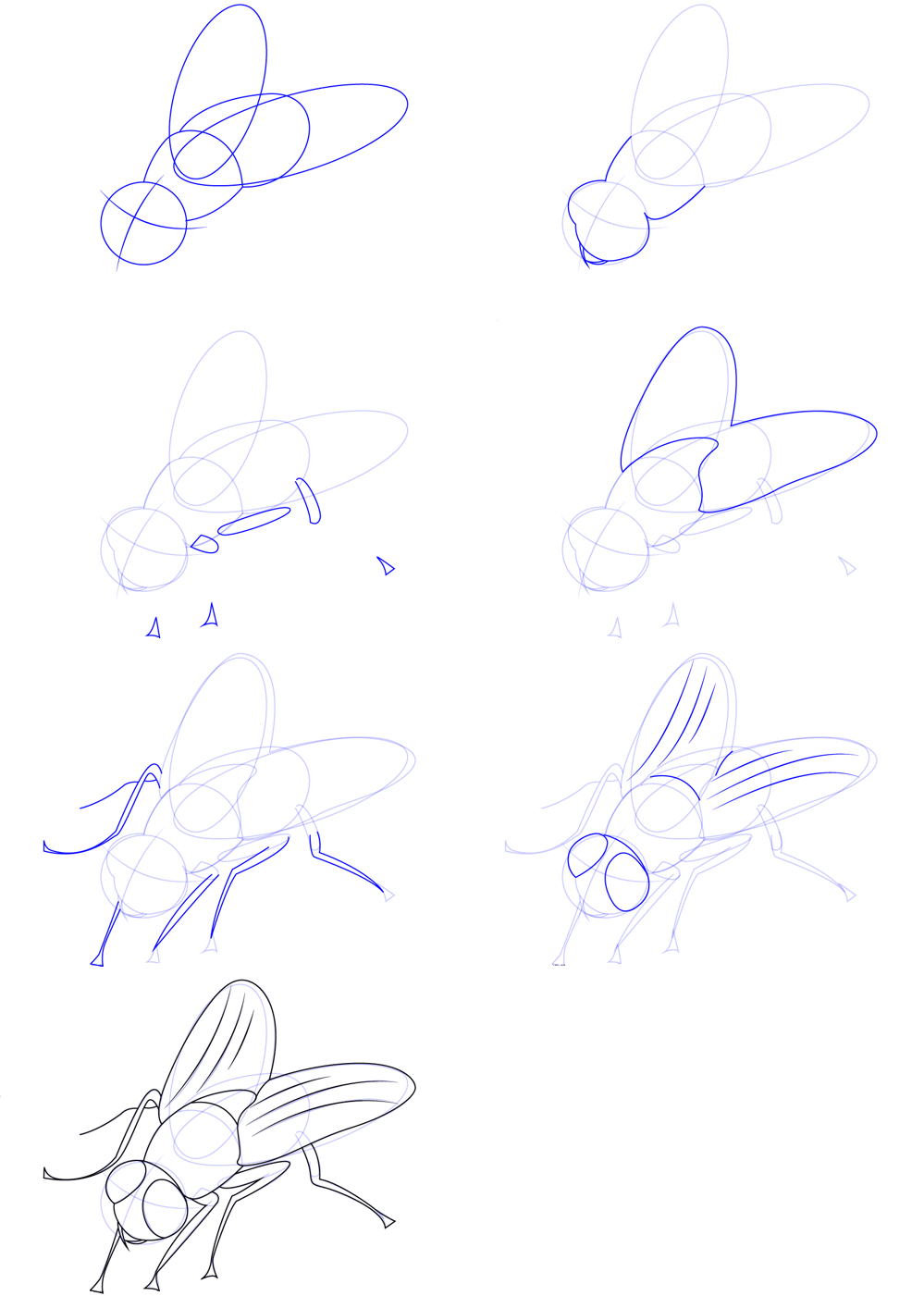 Zeichnen Lernen Zeichne eine einfache Fliege