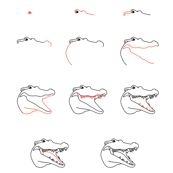 Zeichnen Lernen Alligatorgesicht