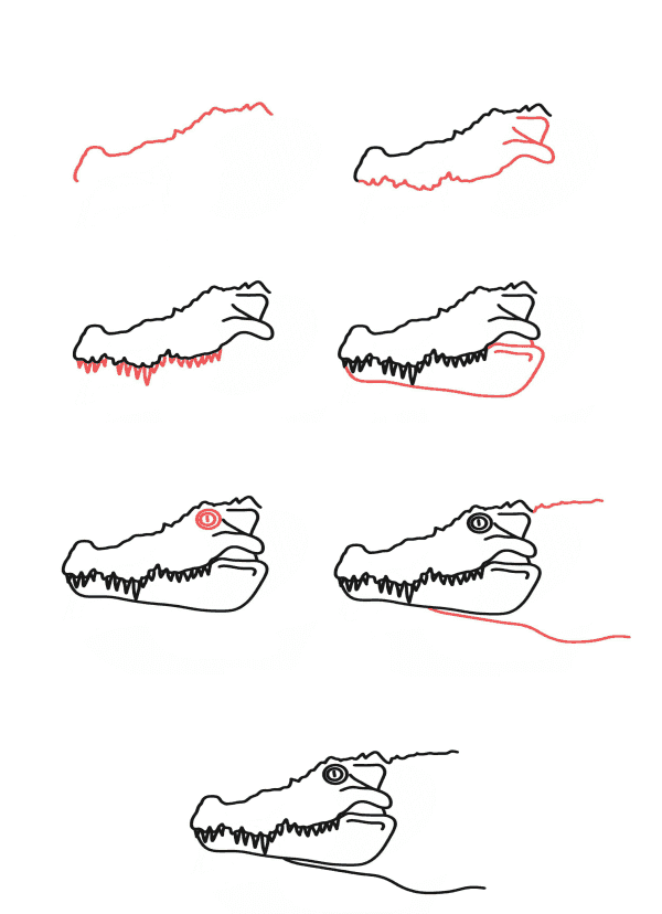 Alligatorköpfe zeichnen ideen