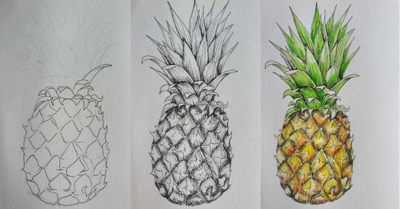 Ananas-Ideen (14) zeichnen ideen