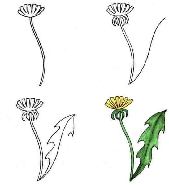 Blumenidee (11) zeichnen ideen