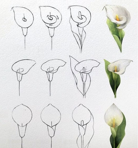 Blumenidee (38) zeichnen ideen