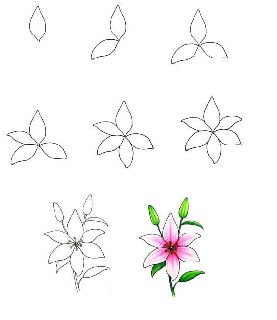 Zeichnen Lernen Blumenidee (41)