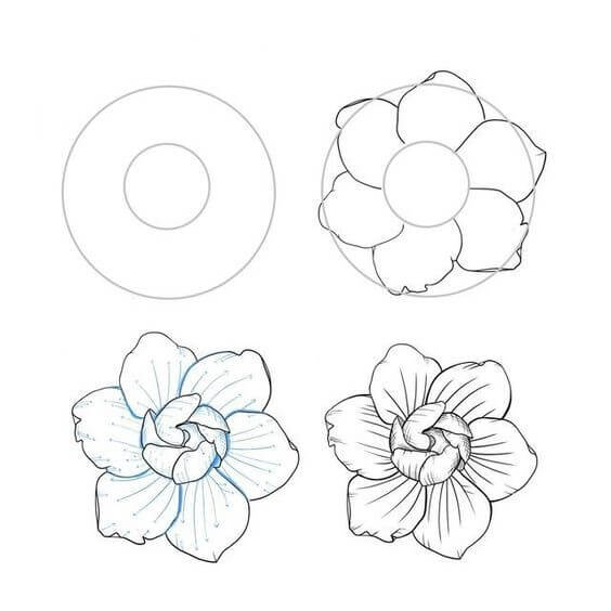 Zeichnen Lernen Blumenidee (45)