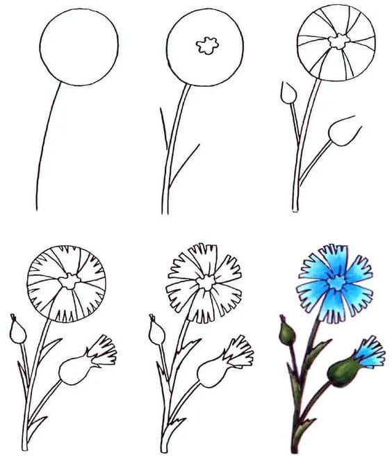 Zeichnen Lernen Blumenidee (53)