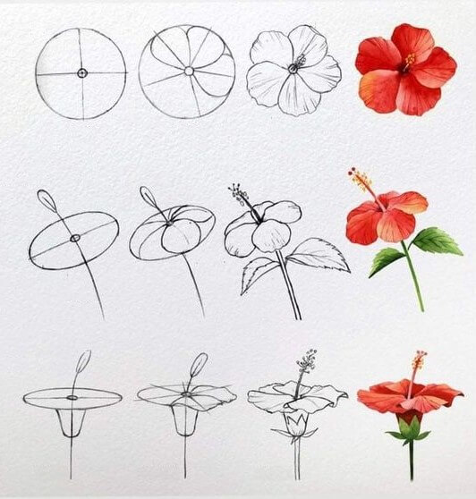 Blumenidee (24) zeichnen ideen