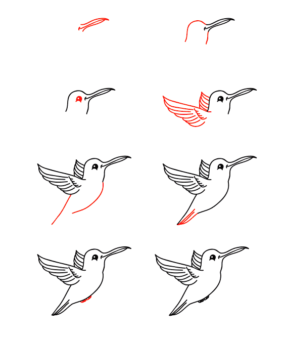 Cartoon-Kolibri zeichnen ideen