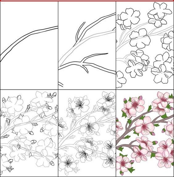 Kirschblüten-Idee (12) zeichnen ideen