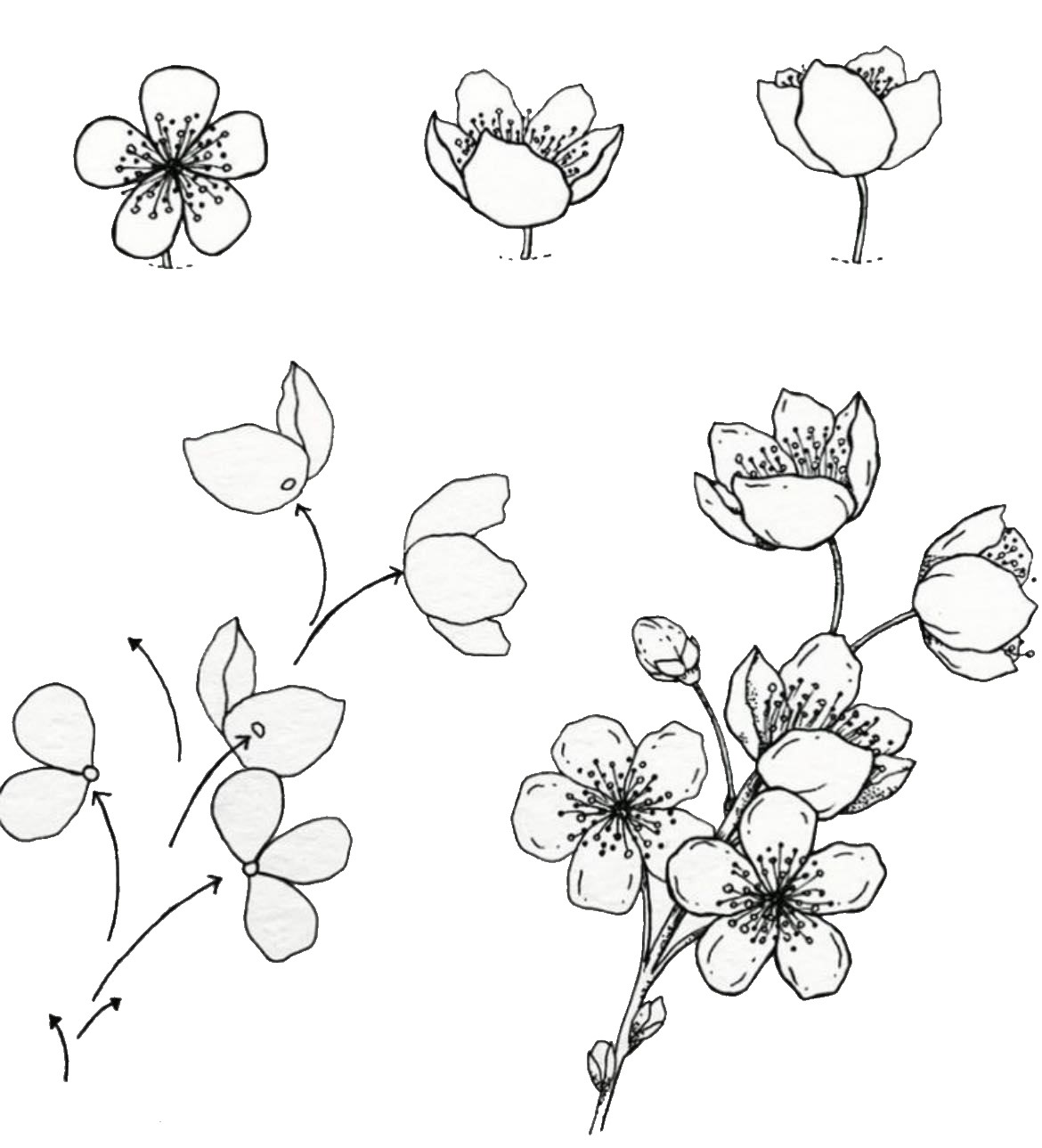 Kirschblüten-Idee (13) zeichnen ideen