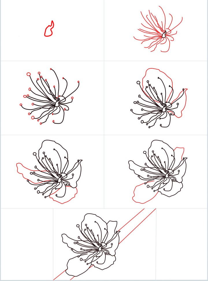 Kirschblüten-Idee (14) zeichnen ideen