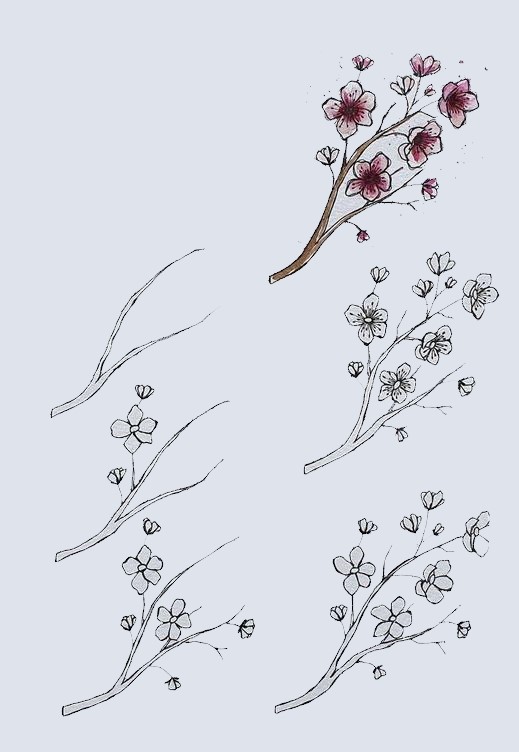 Kirschblüten-Idee (5) zeichnen ideen