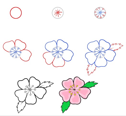 Kirschblütenblätter (4) zeichnen ideen