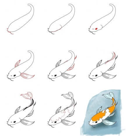 Zeichnen Lernen Koi-Fisch-Idee (13)