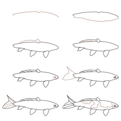Koi-Fisch-Idee (25) zeichnen ideen