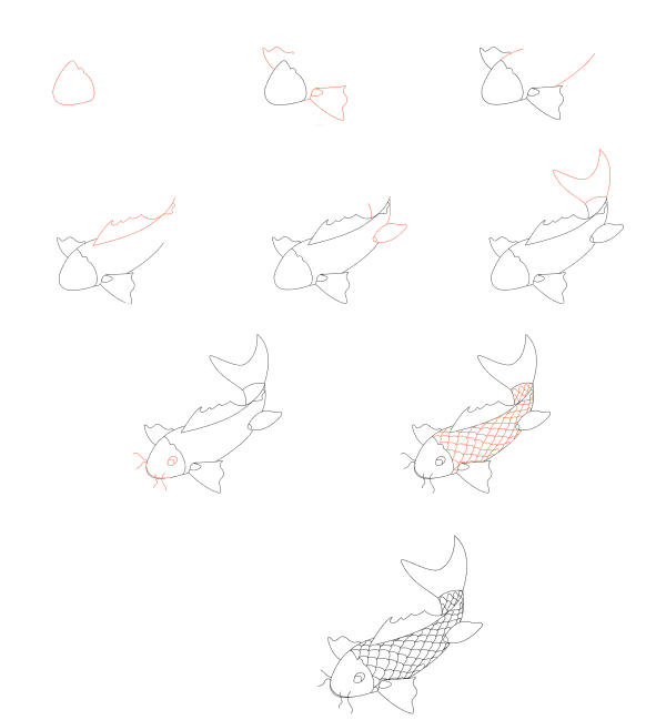 Zeichnen Lernen Koi-Fische zeichnen einfach (2)