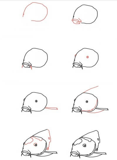 Zeichnen Lernen Koi-Fischgesicht