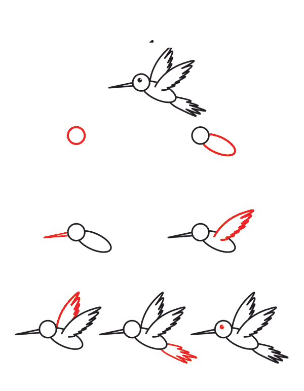 Kolibri für Kinder zeichnen ideen