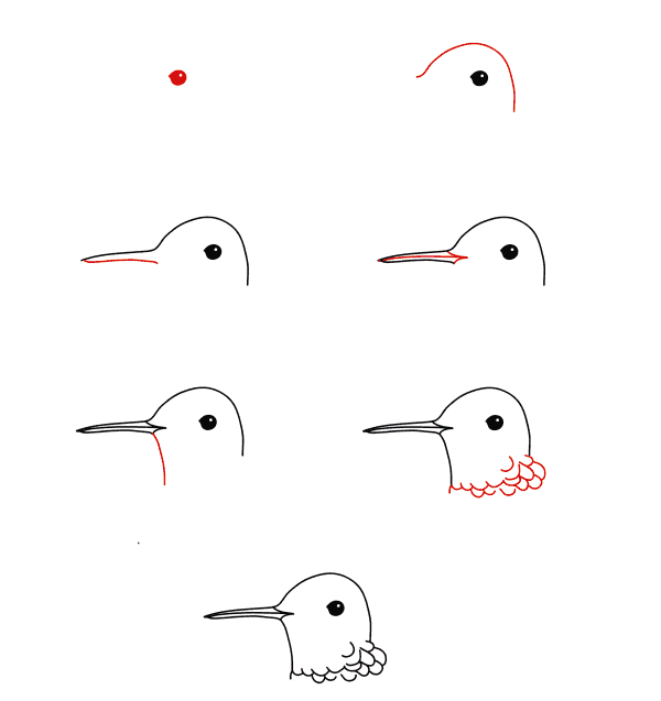 Kolibri-Gesicht zeichnen ideen