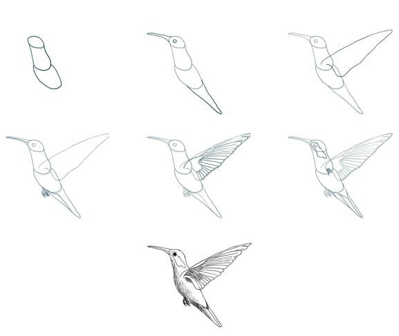Kolibri-Idee (10) zeichnen ideen