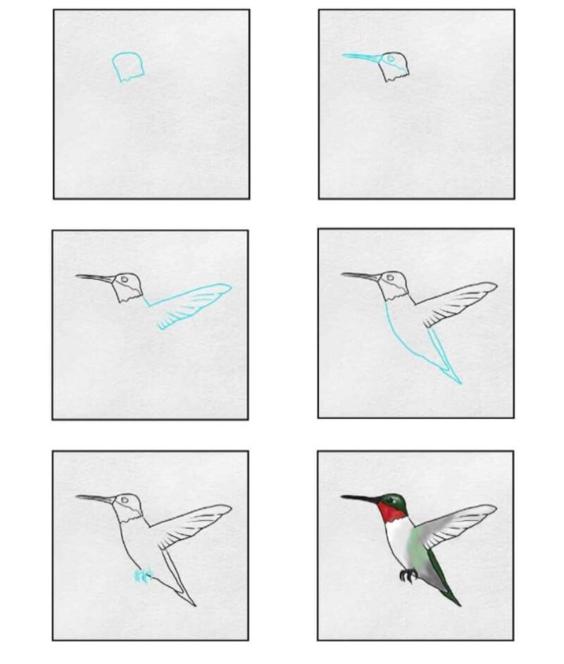 Kolibri-Idee (11) zeichnen ideen