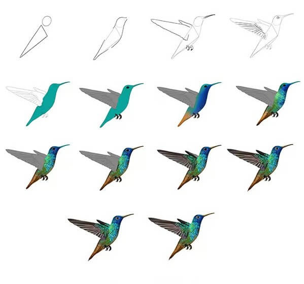 Kolibri-Idee (14) zeichnen ideen