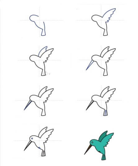 Kolibri-Idee (16) zeichnen ideen