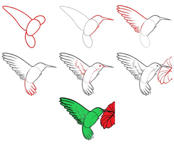 Kolibri-Idee (17) zeichnen ideen
