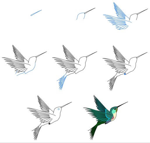 Kolibri-Idee (18) zeichnen ideen